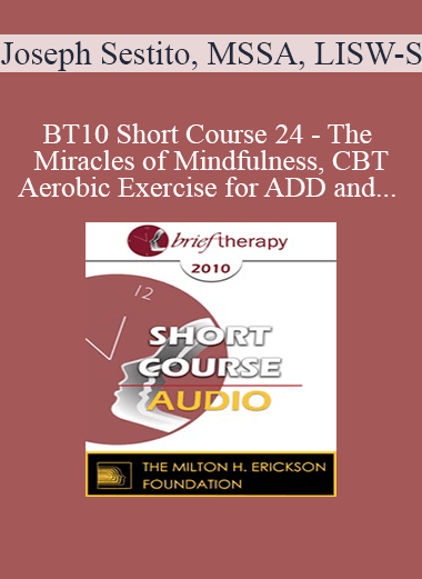[Audio] BT10 Short Course 24 - The Miracles of Mindfulness