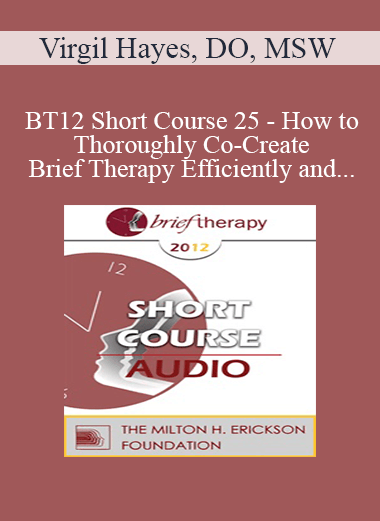 [Audio] BT12 Short Course 25 - How to Thoroughly Co-Create Brief Therapy Efficiently and Effectively - Virgil Hayes