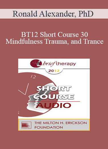 [Audio] BT12 Short Course 30 - Mindfulness