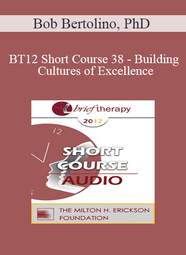 [Audio] BT12 Short Course 38 - Building Cultures of Excellence: Strategies to Improve Therapeutic Outcomes in Agencies - Bob Bertolino