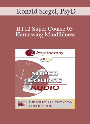 [Audio] BT12 Super Course 03 - Harnessing Mindfulness: Tailoring the Practice to the Problem - Ronald Siegel