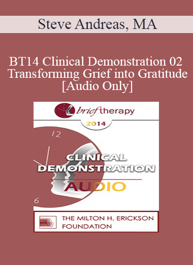 [Audio] BT14 Clinical Demonstration 02 - Transforming Grief into Gratitude - Steve Andreas