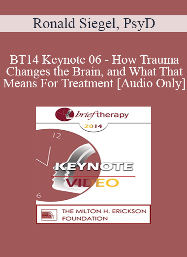 [Audio] BT14 Keynote 06 - How Trauma Changes the Brain