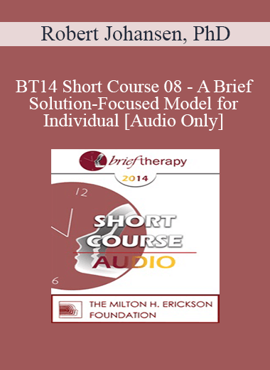 [Audio] BT14 Short Course 08 - A Brief Solution-Focused Model for Individual - Robert Johansen