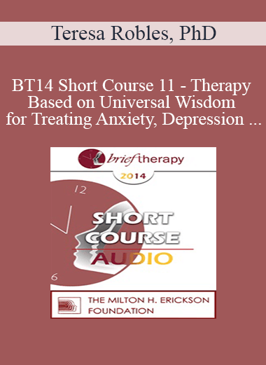 [Audio] BT14 Short Course 11 - Therapy Based on Universal Wisdom for Treating Anxiety