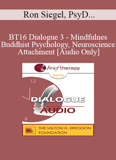 [Audio] BT16 Dialogue 3 - Mindfulness