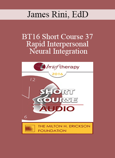 [Audio] BT16 Short Course 37 - Rapid Interpersonal Neural Integration: The Key to Quick and Lasting Change - James Rini