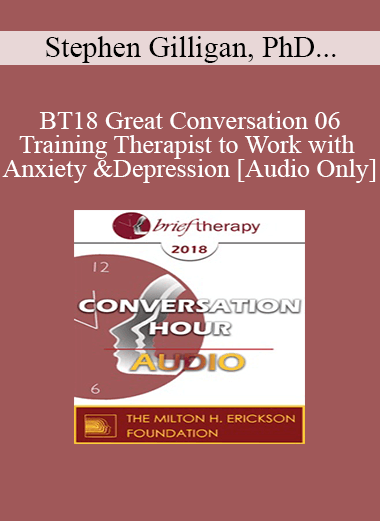 [Audio] BT18 Great Conversation 06 - Training Therapist to Work with Anxiety and Depression - Stephen Gilligan