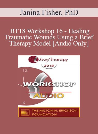 [Audio] BT18 Workshop 16 - Healing Traumatic Wounds Using a Brief Therapy Model - Janina Fisher