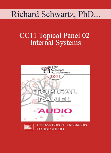 [Audio] CC11 Topical Panel 02 - Internal Systems: Which Ones and Do They Matter? - Richard Schwartz
