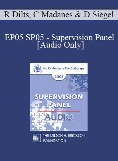 [Audio] EP05 SP05 - Supervision Panel - Robert Dilts
