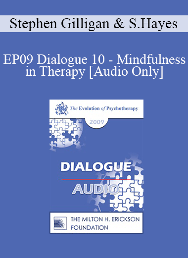 [Audio] EP09 Dialogue 10 - Mindfulness in Therapy - Stephen Gilligan