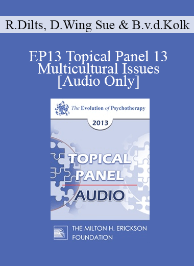 [Audio] EP13 Topical Panel 13 - Multicultural Issues - Robert Dilts
