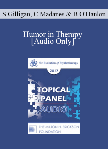 [Audio] EP17 Topical Panel 13 - Humor in Therapy - Stephen Gilligan