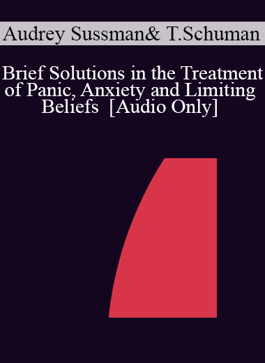 [Audio] IC04 Short Course 40 - Brief Solutions in the Treatment of Panic