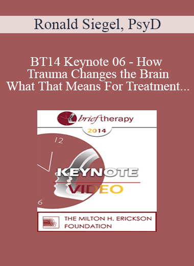 BT14 Keynote 06 - How Trauma Changes the Brain
