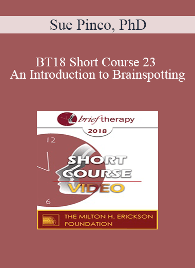 BT18 Short Course 23 - An Introduction to Brainspotting: A Revolutionary Therapy for Rapid and Effective Change - Sue Pinco