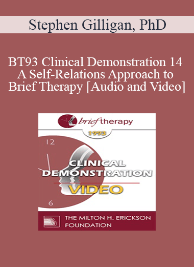 BT93 Clinical Demonstration 14 - A Self-Relations Approach to Brief Therapy - Stephen Gilligan