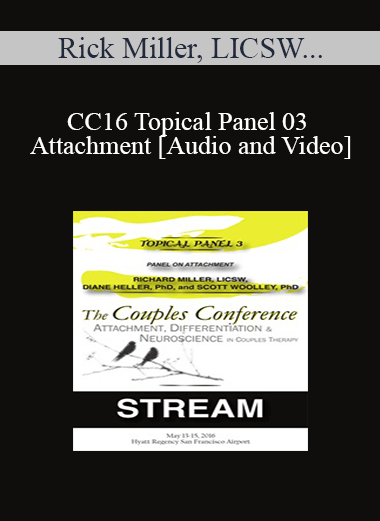 CC16 Topical Panel 03 - Attachment - Rick Miller