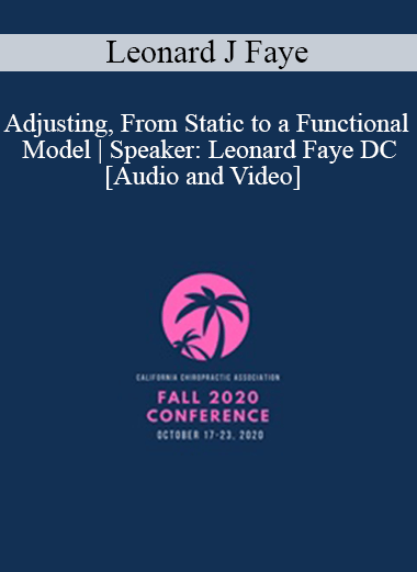 Leonard J Faye - Adjusting