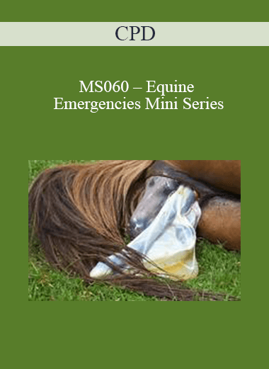 CPD - MS060 – Equine Emergencies Mini Series