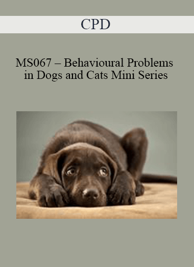 CPD - MS067 – Behavioural Problems in Dogs and Cats Mini Series