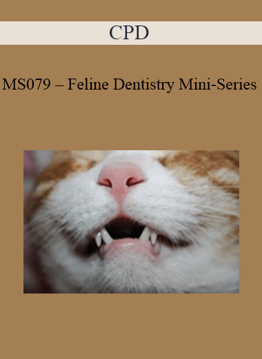 CPD - MS079 – Feline Dentistry Mini-Series