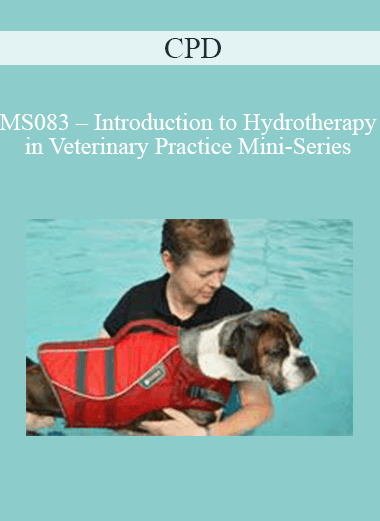 CPD - MS083 – Introduction to Hydrotherapy in Veterinary Practice Mini-Series