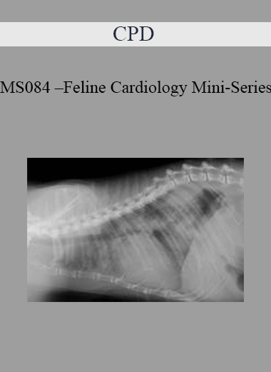 CPD - MS084 – Feline Cardiology Mini-Series