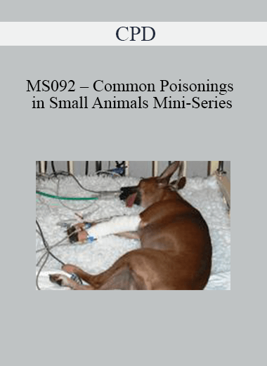 CPD - MS092 – Common Poisonings in Small Animals Mini-Series