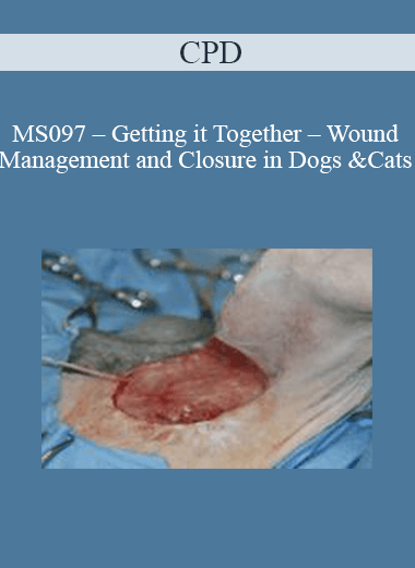 CPD - MS097 – Getting it Together – Wound Management and Closure in Dogs and Cats