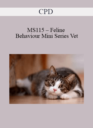 CPD - MS115 – Feline Behaviour Mini Series Vet