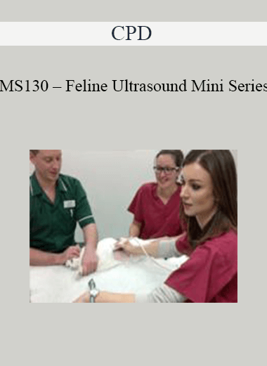 CPD - MS130 – Feline Ultrasound Mini Series