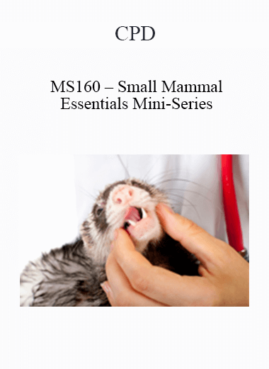 CPD - MS160 – Small Mammal Essentials Mini-Series