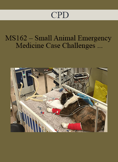 CPD - MS162 – Small Animal Emergency Medicine Case Challenges for Advanced Practitioners Mini Series