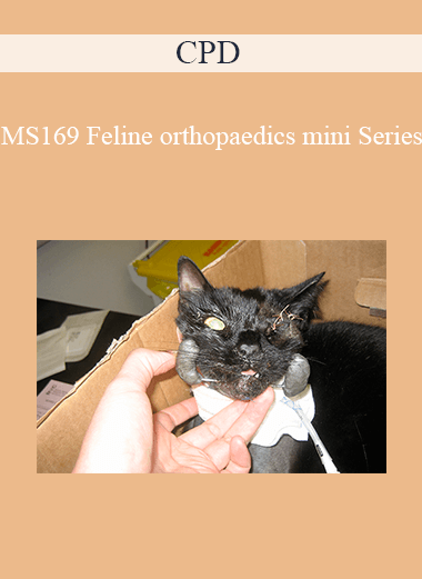 CPD - MS169 Feline Orthopaedics Mini Series