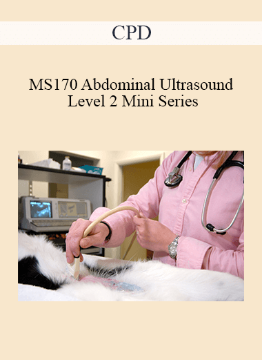 CPD - MS170 Abdominal Ultrasound Level 2 Mini Series