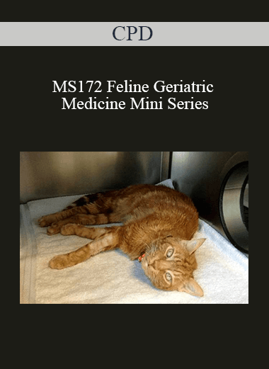 CPD - MS172 Feline Geriatric Medicine Mini Series