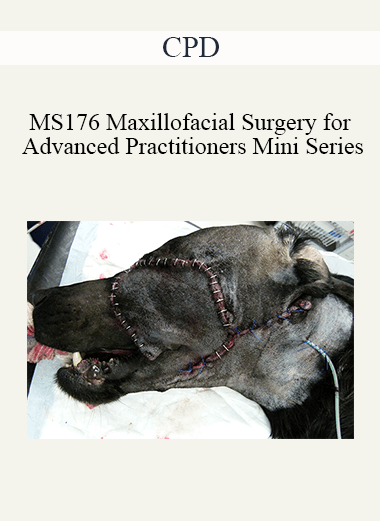 CPD - MS176 Maxillofacial Surgery for Advanced Practitioners Mini Series