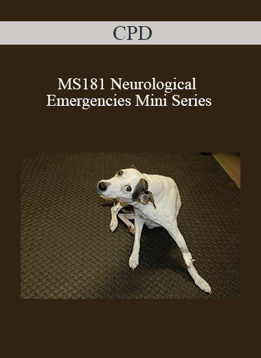 CPD - MS181 Neurological Emergencies Mini Series