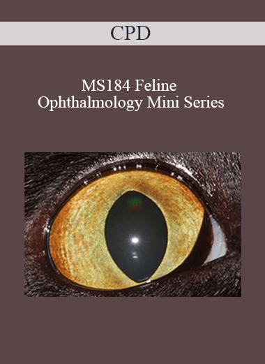 CPD - MS184 Feline Ophthalmology Mini Series