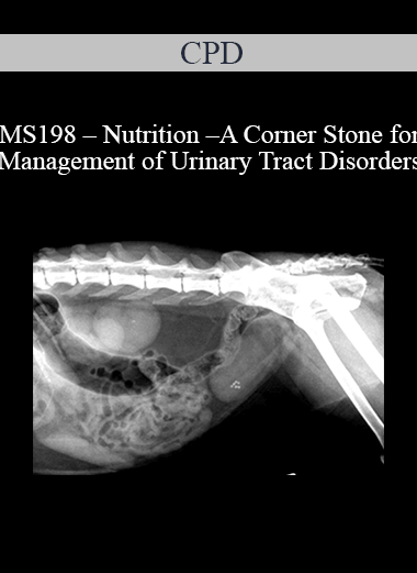CPD - MS198 – Nutrition – A Corner Stone for Management of Urinary Tract Disorders