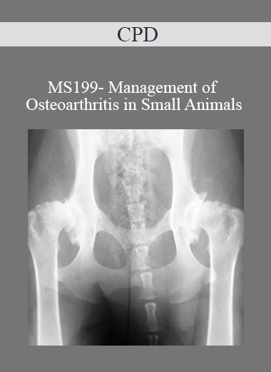 CPD - MS199- Management of Osteoarthritis in Small Animals