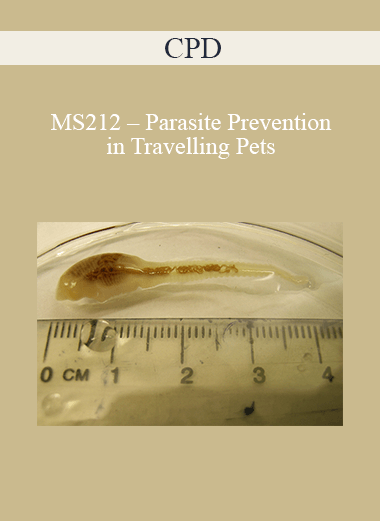 CPD - MS212 – Parasite Prevention in Travelling Pets