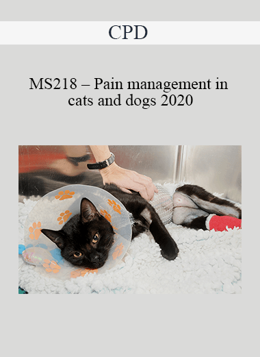 CPD - MS218 – Pain management in cats and dogs 2020