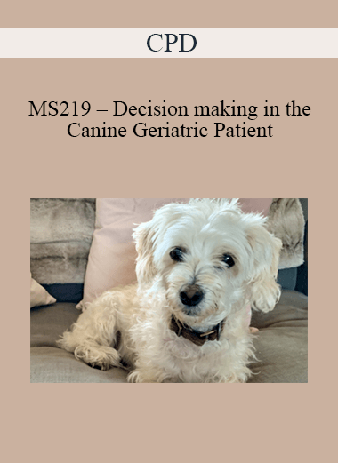 CPD - MS219 – Decision making in the Canine Geriatric Patient