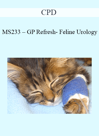 CPD - MS233 – GP Refresh- Feline Urology