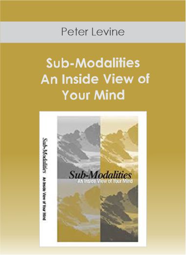 Charles Faulkner - Sub-Modalities - An Inside View of Your Mind