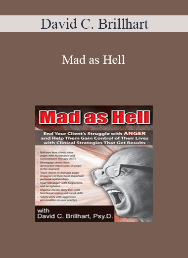 David C. Brillhart - Mad as Hell: End Your Client's Struggle with Anger and Help Them Gain Control of Their Lives with Clinical Strategies That Get Results
