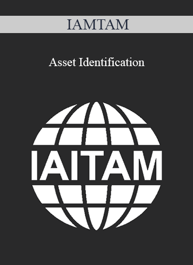 IAMTAM - Asset Identification